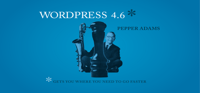 Hire Wordpress Web Developer Programmer At HawksCode Softwares